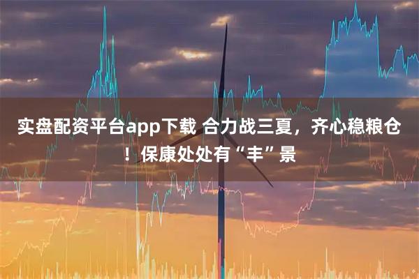 实盘配资平台app下载 合力战三夏，齐心稳粮仓！保康处处有“丰”景